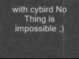 Cybird Remote Control